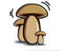Mixed Mushrooms